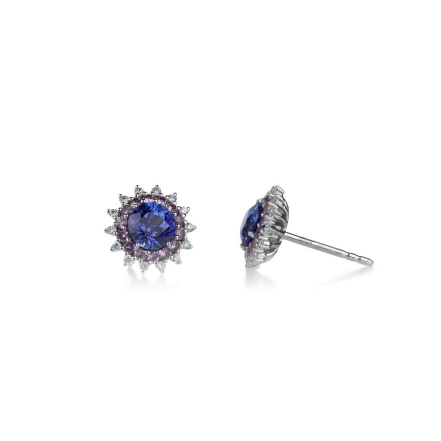 Earrings Paul Morelli | Tanzanite And Pink Sapphire Studs